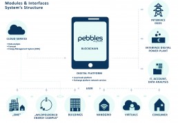 Modules&Interfaces pebbles