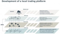 Development of a local trading platform pebbles